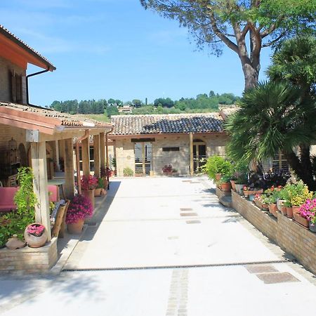 סיביטנובה אלטה B&B Il Cavallino מראה חיצוני תמונה