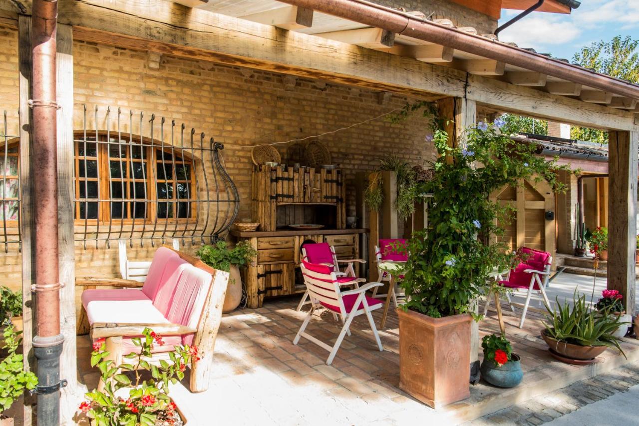 סיביטנובה אלטה B&B Il Cavallino מראה חיצוני תמונה