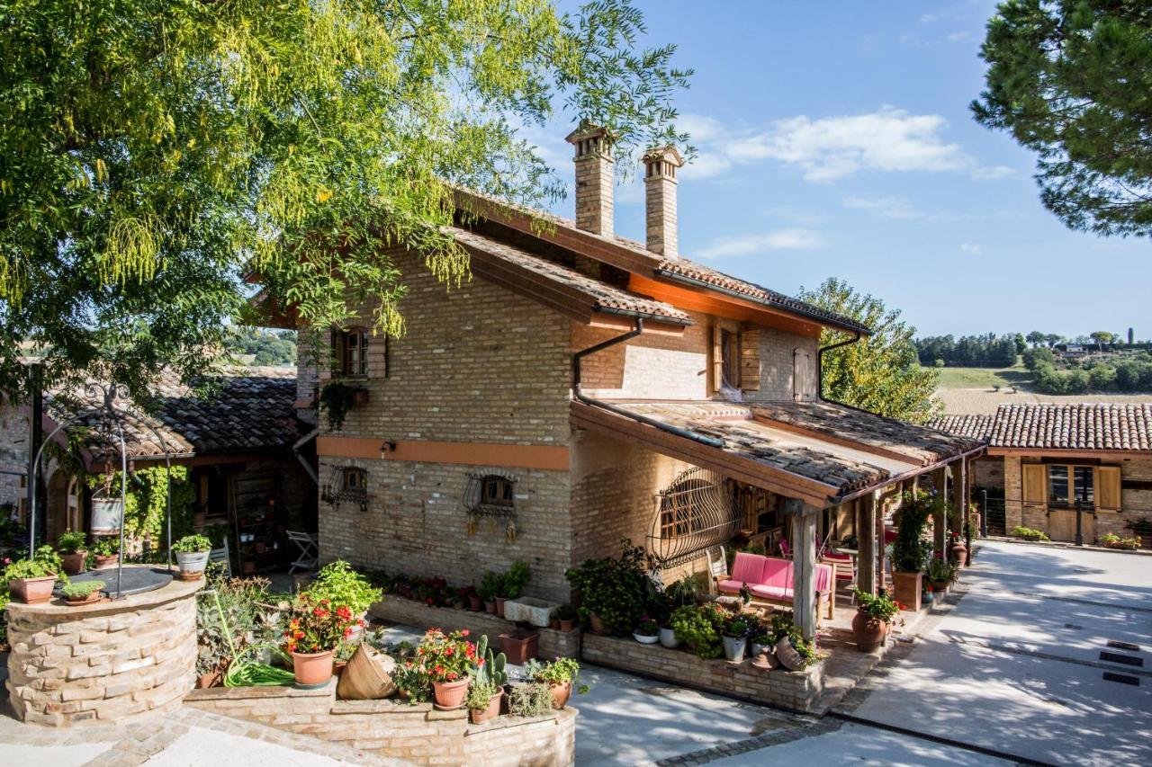 סיביטנובה אלטה B&B Il Cavallino מראה חיצוני תמונה