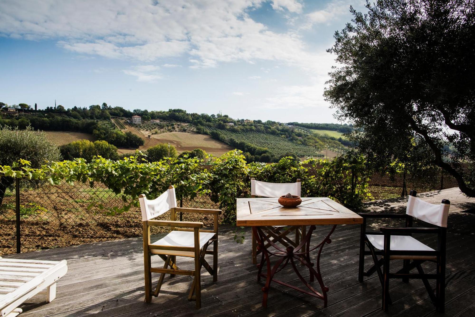 סיביטנובה אלטה B&B Il Cavallino מראה חיצוני תמונה