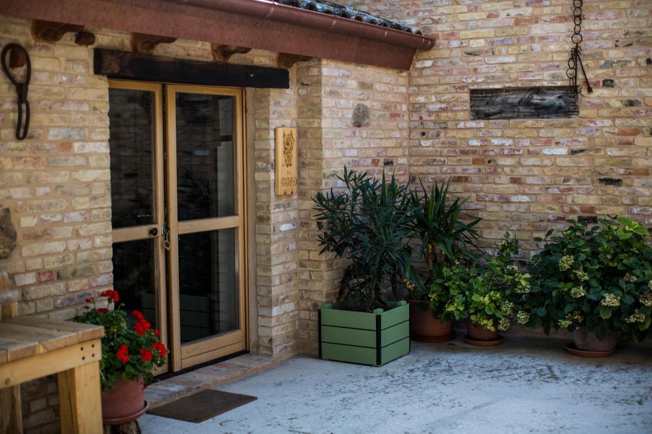 סיביטנובה אלטה B&B Il Cavallino מראה חיצוני תמונה