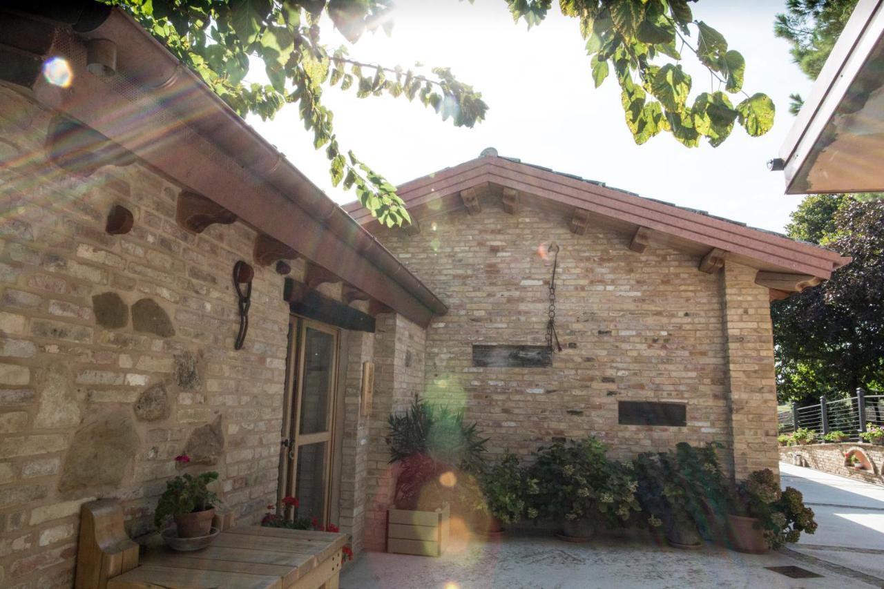 סיביטנובה אלטה B&B Il Cavallino מראה חיצוני תמונה