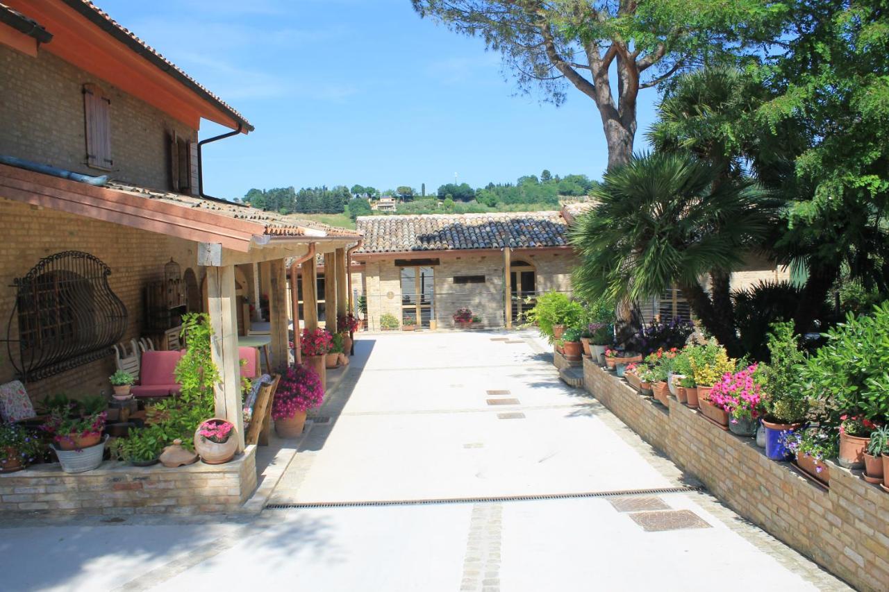 סיביטנובה אלטה B&B Il Cavallino מראה חיצוני תמונה