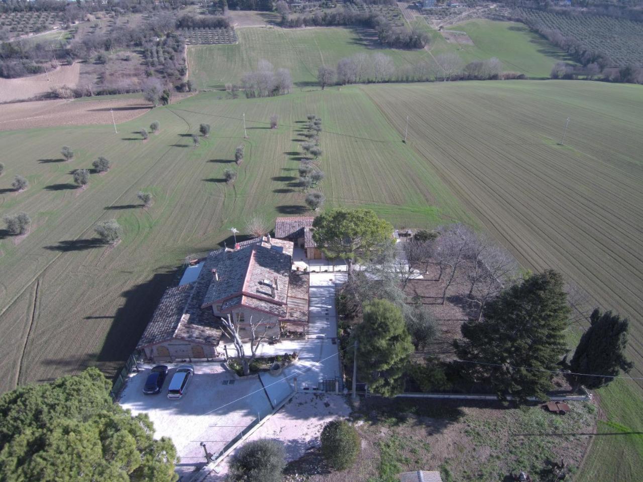 סיביטנובה אלטה B&B Il Cavallino מראה חיצוני תמונה