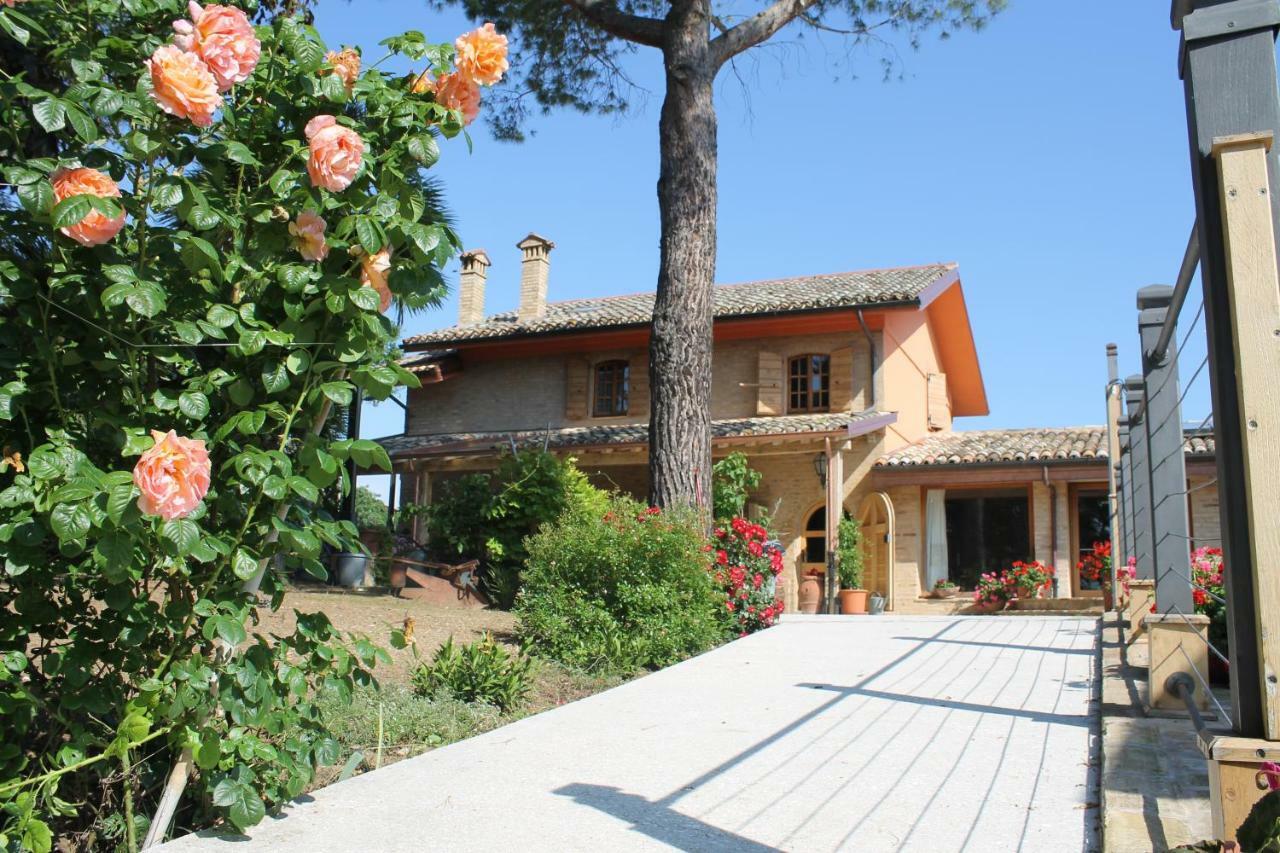סיביטנובה אלטה B&B Il Cavallino מראה חיצוני תמונה