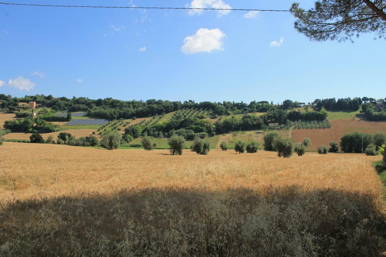 סיביטנובה אלטה B&B Il Cavallino מראה חיצוני תמונה